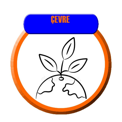 1 Yıllık Çevre Dersi