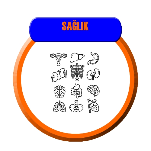 1 Yıllık Sağlık Dersi